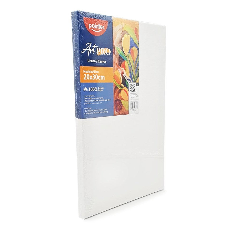 Lienzo Pointer ArtPro 20x30 cm con su etiqueta, vista en ángulo derecho